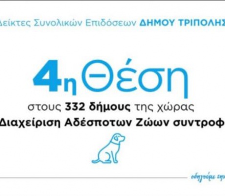 Αντιδήμαρχος Χασάπης: "Με σχέδιο, επιμονή και καθημερινή δουλειά, ο Δήμος Τρίπολης κατακτά την 4η θέση πανελλαδικά στη διαχείριση των αδέσποτων ζώων"