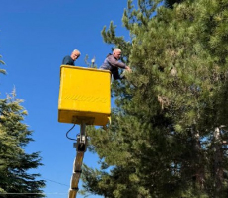 ΔΑΚ Τρίπολης | Μέτρα Προστασίας για Παιδιά και Αθλούμενους