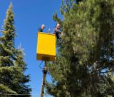 ΔΑΚ Τρίπολης | Μέτρα Προστασίας για Παιδιά και Αθλούμενους