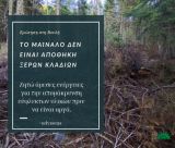 Στη Βουλή έφτασε το θέμα με τα στοιβαγμένα ξερά κλαδιά μέσα στην "καρδιά" του Μαινάλου