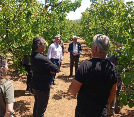 Σε εξέλιξη οι εκτιμήσεις του ΕΛΓΑ για τις ζημιές από τον παγετό στην Περιφέρεια Πελοποννήσου