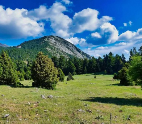 Το ψέμα για την κήρυξη ολόκληρου του όρους Πάρνωνα ως «Απάτητου Βουνού»