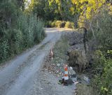 Επαρχιακός δρόμος Μεγαλόπολης – Λυκόσουρας | Βυθισμένο οδόστρωμα, φραγμένη τάφρος και καμία σήμανση (εικόνες)
