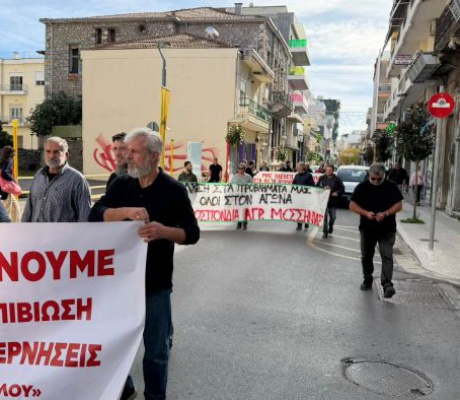 Κινητοποίηση ελαιοπαραγωγών στην Τρίπολη και πορεία μέχρι την Περιφέρεια Πελοποννήσου (vd)