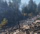 Υπό έλεγχο η φωτιά στο Μαίναλο | Επιφυλακή τη νύχτα για τυχόν αναζωπυρώσεις - Δεν απειλήθηκαν οικισμοί (εικόνες)