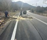 Σε ετοιμότητα ο Δήμος Γορτυνίας για την κακοκαιρία - Πτώσεις δένδρων από τους ισχυρούς ανέμους! (εικόνες)