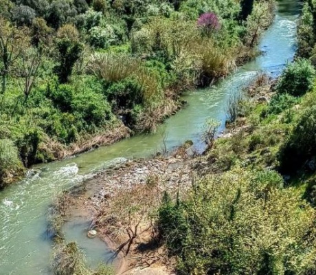 Καρύταινα | 1.000 πολίτες αντιδρούν για το υδροηλεκτρικό στον Αλφειό – Μέτωπο και κατά των φαραωνικών ΑΠΕ